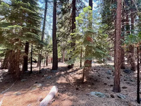 83 Paiute Trl, Graeagle, CA 96103 photo 8