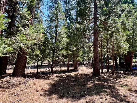 83 Paiute Trl, Graeagle, CA 96103 photo 9