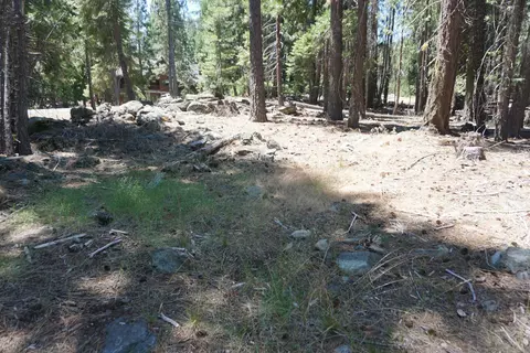 1 Papoose Trl, Graeagle, CA 96103 photo 2
