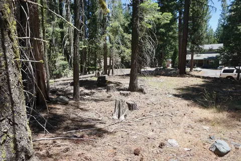 1 Papoose Trl, Graeagle, CA 96103 photo 8