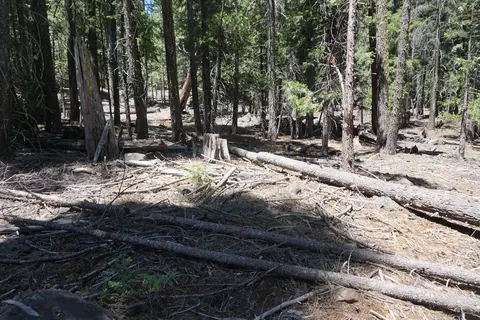1 Papoose Trl, Graeagle, CA 96103 photo 4