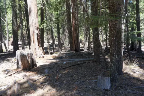 1 Papoose Trl, Graeagle, CA 96103 photo 9