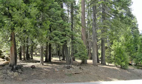 1015 Timber Ridge Rd, Lake Almanor, CA 96137