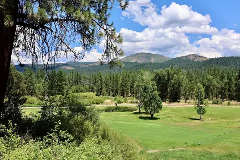 71 Graeagle Meadows Rd, Graeagle, CA 96103 photo 42