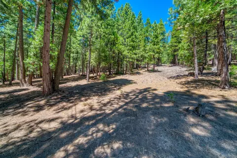 69467 Chipmunk Rd, Blairsden, CA 96103 photo 36