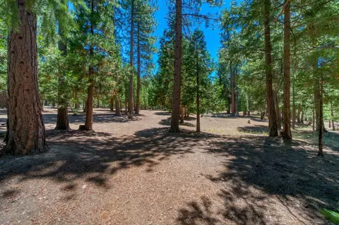 69467 Chipmunk Rd, Blairsden, CA 96103 photo 46