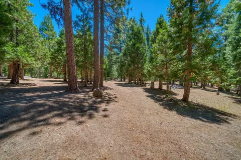 69467 Chipmunk Rd, Blairsden, CA 96103 photo 48