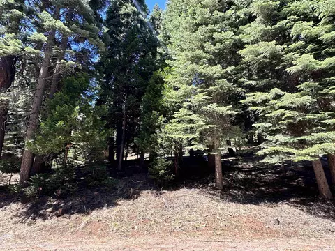 721 Pine Canyon Rd, Lake Almanor, CA 96137