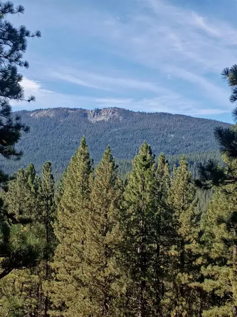 1800 Grey Squirrel Rd, Clio, CA 96106