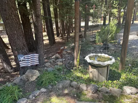 Exterior - 2182 Pine Cone Ln, Quincy, CA 95971 photo 9 of 10