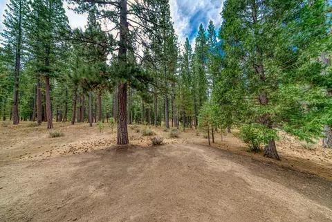 Exterior - 118 Fox Tail Ln, Clio, CA 96106 photo 12 of 13