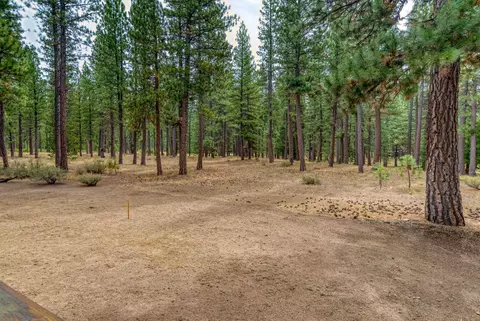 Exterior - 118 Fox Tail Ln, Clio, CA 96106 photo 13 of 13