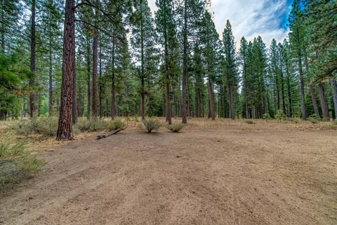 Other - 118 Fox Tail Ln, Clio, CA 96106 photo 12 of 12