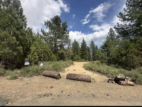 266 Delleker Park Dr, Delleker, CA 96122