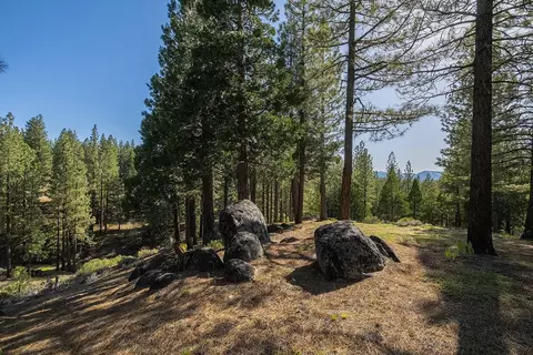 924 Dancing Bears, Portola, CA 96122 photo 10