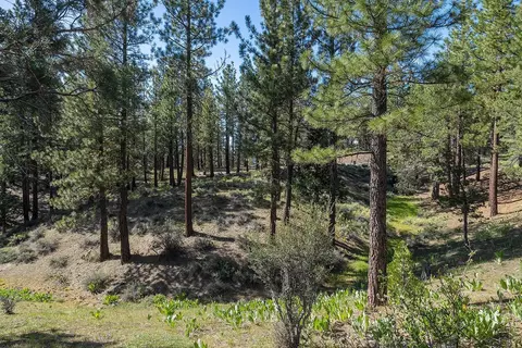 924 Dancing Bears, Portola, CA 96122 photo 16