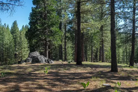 924 Dancing Bears, Portola, CA 96122 photo 12