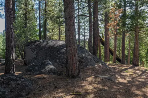 924 Dancing Bears, Portola, CA 96122 photo 13