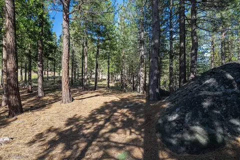 924 Dancing Bears, Portola, CA 96122 photo 21