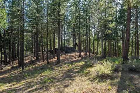 924 Dancing Bears, Portola, CA 96122 photo 14