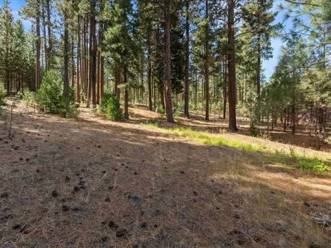 0000 Smithneck Rd, Loyalton, CA 96118 photo 4