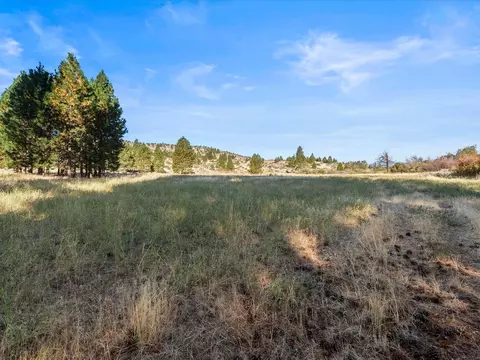 0000 Smithneck Rd, Loyalton, CA 96118 photo 28