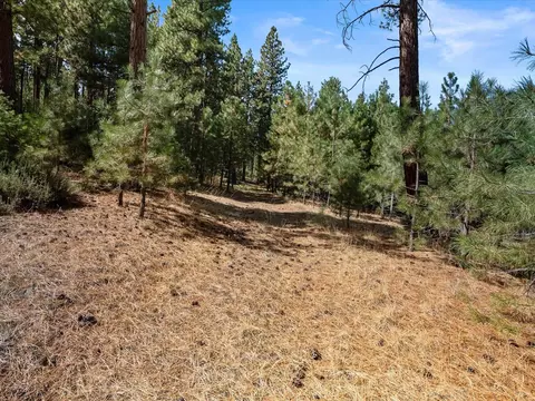 0000 Smithneck Rd, Loyalton, CA 96118 photo 13