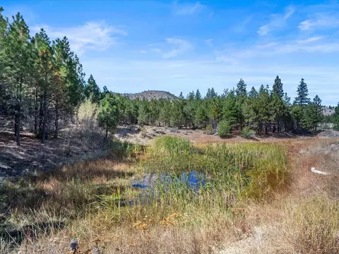 0000 Smithneck Rd, Loyalton, CA 96118 photo 11
