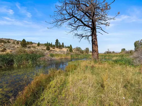 0000 Smithneck Rd, Loyalton, CA 96118 photo 7