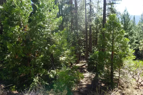 3400 23n33, Blairsden, CA 96103 photo 3