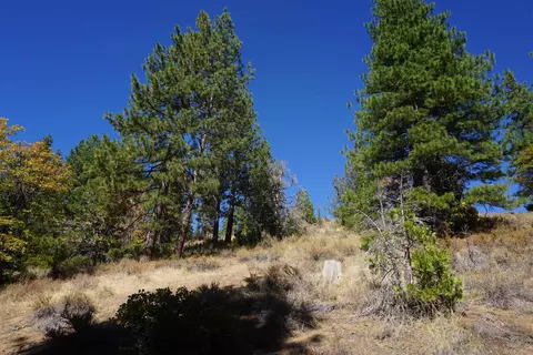 3400 23n33, Blairsden, CA 96103 photo 4