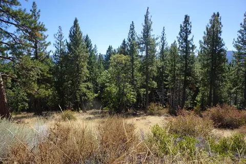 3400 23n33, Blairsden, CA 96103 photo 5