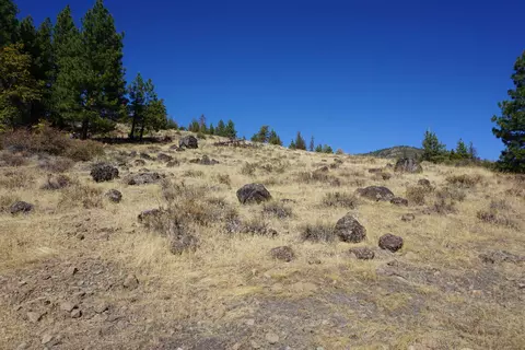 3400 23n33, Blairsden, CA 96103 photo 8