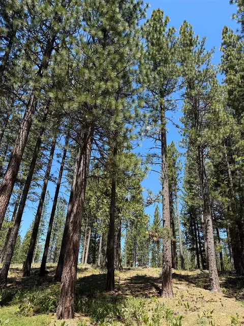 302 Boulder Dr, Clio, CA 96106 photo 3