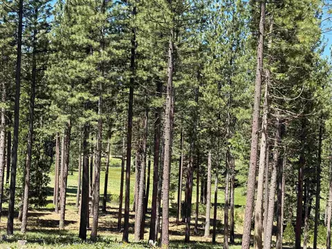302 Boulder Dr, Clio, CA 96106 photo 4