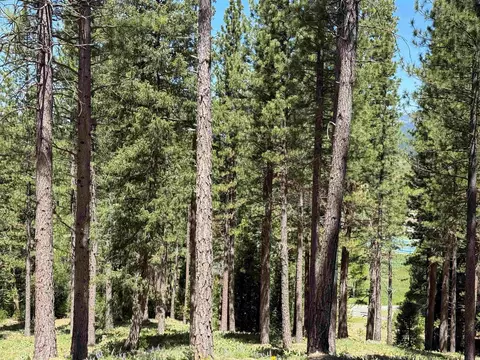 302 Boulder Dr, Clio, CA 96106 photo 2
