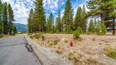 503 Redtail Loop, Clio, CA 96106 photo 6