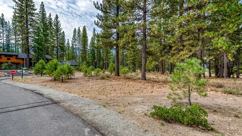 503 Redtail Loop, Clio, CA 96106 photo 25