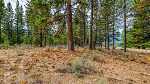 503 Redtail Loop, Clio, CA 96106 photo 29