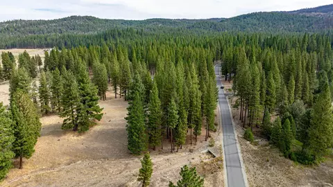 503 Redtail Loop, Clio, CA 96106 photo 9