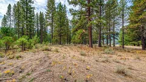 503 Redtail Loop, Clio, CA 96106 photo 28