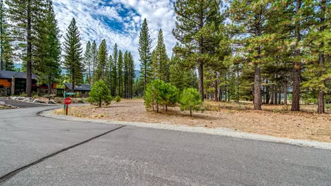 503 Redtail Loop, Clio, CA 96106 photo 38