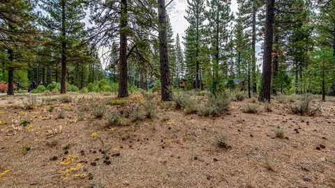 503 Redtail Loop, Clio, CA 96106 photo 32
