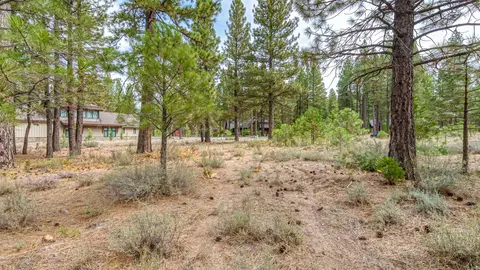 503 Redtail Loop, Clio, CA 96106 photo 37