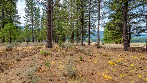 503 Redtail Loop, Clio, CA 96106 photo 30