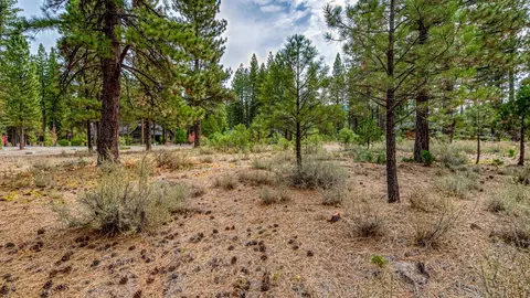 503 Redtail Loop, Clio, CA 96106 photo 34