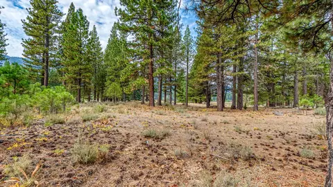 503 Redtail Loop, Clio, CA 96106 photo 27