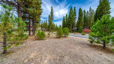 503 Redtail Loop, Clio, CA 96106 photo 23
