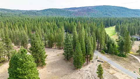 503 Redtail Loop, Clio, CA 96106 photo 10