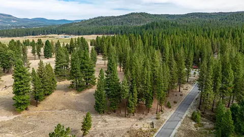 503 Redtail Loop, Clio, CA 96106 photo 8